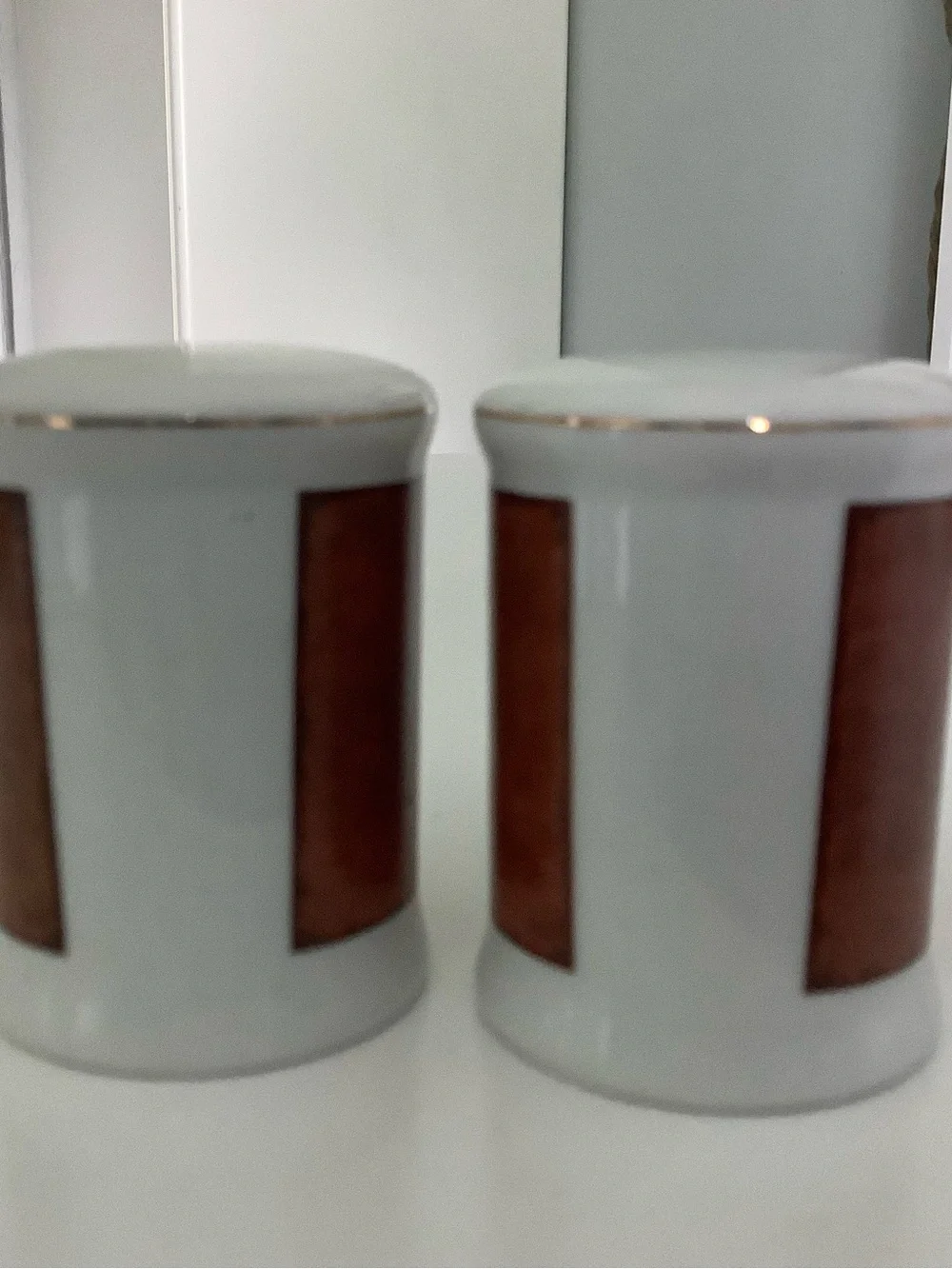 Grand Canyon Souvenir Ceramic Salt & Pepper Shakers in White with Brown Accents